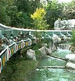 DallasZoo